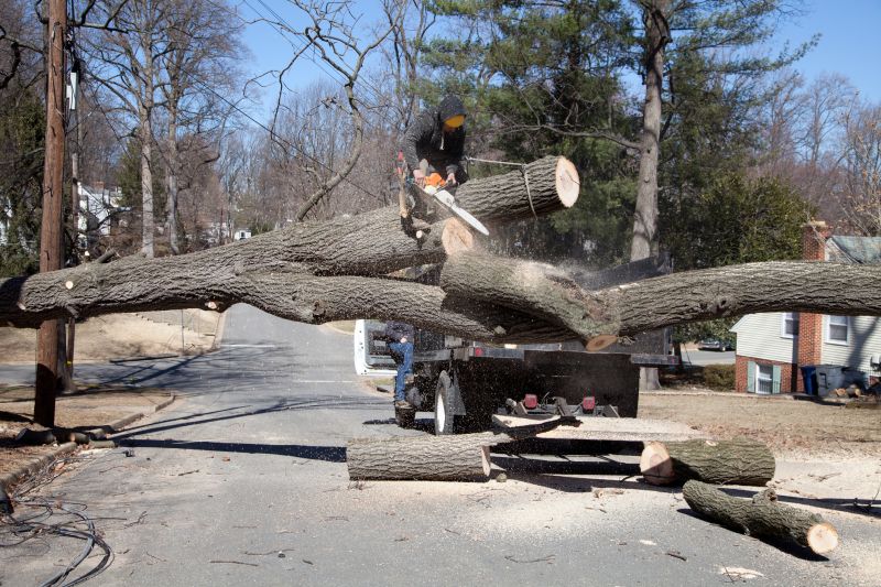 Residential Tree Removal Equipment