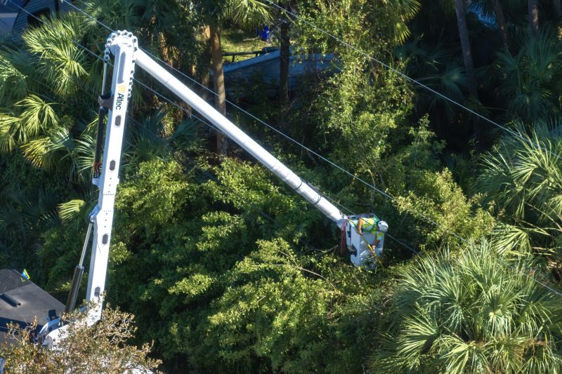 Warranty & Quality Checks